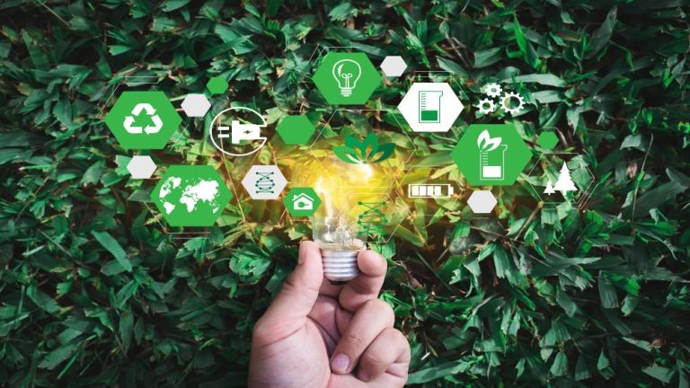 Why Durable Materials Are The True Heroes of Sustainability